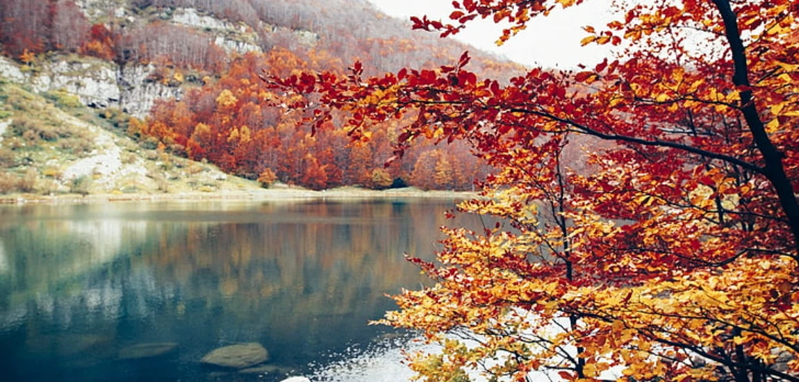 Lorem Ipsum Lorem Ipsum